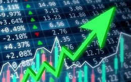 Cổ phiếu ngân hàng dẫn dắt, VN-Index bật tăng gần 24 điểm