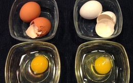 Trứng vỏ trắng hay vỏ nâu tốt hơn? Đáp án khiến nhiều người bất ngờ