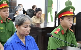 Lừa đảo chiếm đoạt hơn 14,3 tỷ đồng, chủ hụi lãnh 17 năm tù