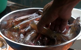 Đặc sản "ăn một lần, nhớ một đời" của tỉnh miền Trung: Chủ tịch tỉnh phải đăng lên Facebook