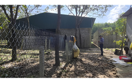 Đường sắt tốc độ cao Bắc - Nam vướng loạt công trình trái phép