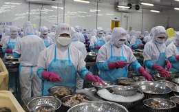 Xuất khẩu nông, lâm, thủy sản có thể giảm hàng tỉ USD vì xung đột ở Trung Đông