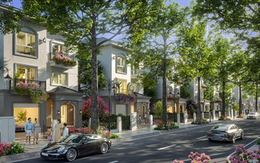 Eurowindow Central Avenue: Dấu ấn tiến độ trong hành trình kiến tạo không gian sống thượng lưu