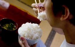 Chỉ một thay đổi nhỏ trong cách ăn cơm có thể giúp giảm mỡ gan tới 30%! Hãy bắt đầu hành trình giảm cân sau kỳ nghỉ lễ của bạn