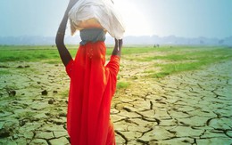 Nắng nóng cực độ ảnh hưởng đến 1/3 dân số toàn cầu