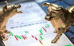 Giữa lúc thị trường biến động, SHS gợi ý cơ hội đầu tư