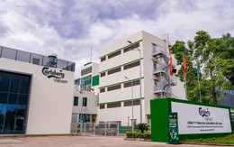 Hãng bia Carlsberg tại Việt Nam lỗ hơn 800 tỷ đồng năm 2025, dù doanh thu "khủng" gần 16.000 tỷ đồng
