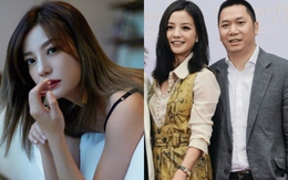 Triệu Vy vừa bị phong tỏa hàng chục tỷ đồng, nguy cơ tán gia bại sản vì cùng chồng cũ tỷ phú lừa đảo