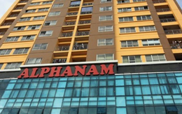 Cơ cấu cổ đông của Alphanam E&C thế nào?