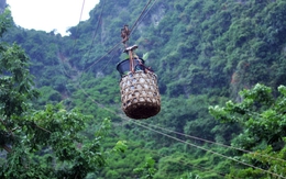 Đặc sản vùng núi phía Bắc được ví như "vua của các loại", Chủ tịch xã từng trực tiếp bán trên livestream