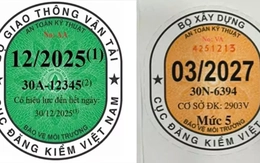 Lý do tem đăng kiểm mới không in ngày hết hạn