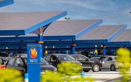 Disneyland biến bãi đỗ xe thành 'trang trại' điện mặt trời khổng lồ