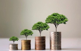 Loạt doanh nghiệp chốt quyền trả cổ tức trong tuần từ ngày 16/3-20/3