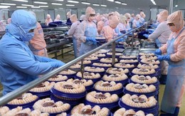 Lãi kỷ lục 2025, một công ty chốt ngày chi trả cổ tức tiền mặt 30%