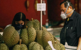 Đối thủ lớn nhất của sầu riêng Việt Nam đón tin buồn từ Trung Quốc và Campuchia