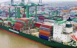 Viconship hoàn tất nhận chuyển nhượng 65% vốn một doanh nghiệp để thực hiện dự án tại Hải Phòng