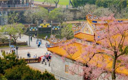 Việt Nam chính thức góp mặt trong Top 28 quốc gia đẹp nhất thế giới