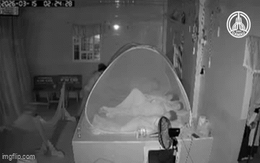 Cận cảnh trộm mò vào phòng trộm thùng tiền mừng cưới: Tìm thấy 208 phong bì cách nhà vài chục mét