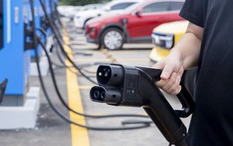 Tỷ phú Phạm Nhật Vượng rót 10.000 tỷ cho lĩnh vực đang cực kỳ cấp thiết tại Việt Nam