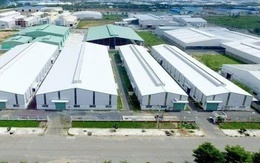 Tandoland lỗ ròng hơn 29 tỷ đồng trong năm 2025, nợ phải trả vượt 6.100 tỷ đồng