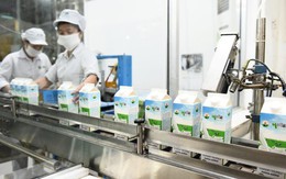 An Phước, Mộc Châu và những cú "vạ lây" vì trùng tên doanh nghiệp