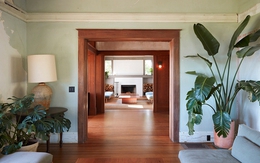 3 loại cây "hút" tài lộc và may mắn, rất nên trồng trong nhà