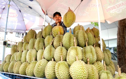 Đua với sầu riêng Việt Nam, Thái Lan ra nước cờ mới thông qua Lào