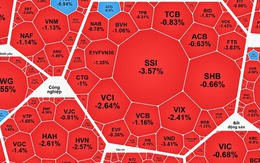 Vì sao cổ phiếu bất động sản tăng ngược dòng?
