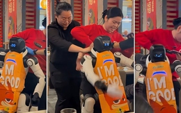 Robot tại nhà hàng lẩu Haidilao bất ngờ đập phá bát đĩa, phải chăng là stress quá?