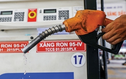 Phó Thủ tướng: Xử lý nghiêm hành vi vận chuyển trái phép xăng dầu qua biên giới