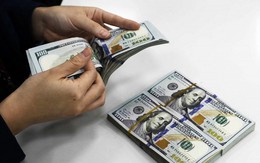 Giá USD chợ đen vượt 27.400 đồng, Ngân hàng Nhà nước tiếp tục hút thanh khoản VND