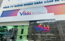 Doanh nghiệp 3 tháng tuổi trở thành công ty mẹ của VikkiBankS