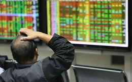 Chứng khoán Việt Nam giảm mạnh nhất từ đầu năm, tiền vào HoSE lên cao nhất 4 tháng