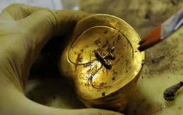 Đào sâu 0,8m, đội công nhân phát hiện hơn 5kg vàng: Công trường xây dựng lập tức bị phong tỏa