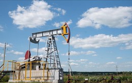 Giá dầu thô bật tăng 7%