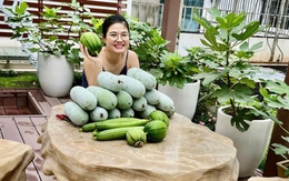 Mẹ 4 con xây "nông trại mini" giữa lòng Hà Nội, mỗi lần lên vườn là quên hết ưu phiền