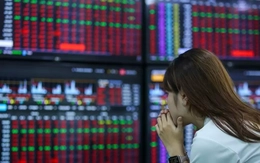 Chứng khoán 'bay' 50 điểm, tiền vào giải cứu DGC