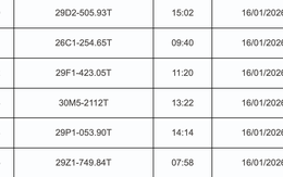 1.428 chủ xe máy có biển số sau nhanh chóng nộp phạt nguội theo Nghị định 168