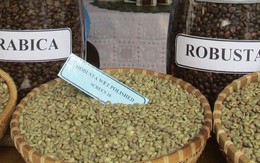 Giá cà phê hôm nay 21-3: Arabica tăng nóng