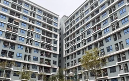 Vợ chồng có tổng thu nhập không quá 50 triệu đồng mỗi tháng sẽ được mua nhà ở xã hội