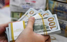 Bật tăng trong nửa đầu tháng 3, tỷ giá USD sẽ diễn biến thế nào trong thời gian tới?