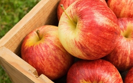 "Nuôi dạ dày chính là nuôi dưỡng sự sống": 5 loại thực phẩm "yêu thích" của niêm mạc dạ dày, nên ăn mỗi ngày, đừng tiếc!