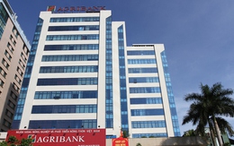 Agribank tuyển cùng lúc 8 vị trí lãnh đạo tại Hội sở