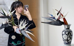 Thấy cành Bạch hạc "chảy nước mắt", tưởng hỏng hóa ra vớ được báu vật decor: Loài hoa quý tộc đang làm mưa làm gió hội nghiện Wabi-sabi sang chảnh