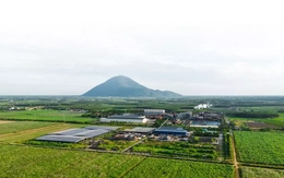 Công ty hạt nhân Tập đoàn TTC đăng ký bán ra hơn 43 triệu cổ phiếu SBT