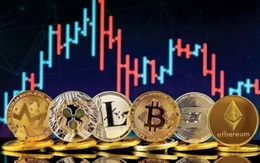 Cựu cán bộ trường đại học chiếm đoạt 11 tỷ đồng của cháu họ rồi 'nướng' vào sàn Forex