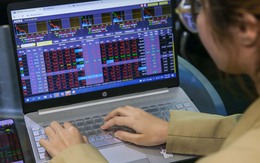 Chuyên gia nêu lý do chứng khoán thủng 1.600 điểm nhưng nhiều cổ phiếu vẫn tăng trần?