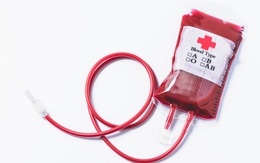 Vì sao người Nhật Bản 'kỳ thị' nhóm máu B?