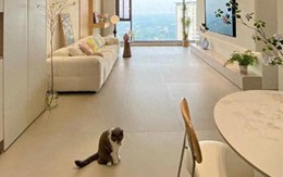 Bất chấp mọi lời khuyên, tôi vẫn lát gạch 600×1200mm cho phòng khách và sau khi ở 6 tháng, đây là điều tôi muốn nói thật