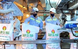 Một doanh nghiệp phân bón lớn lên kế hoạch lãi sụt giảm 40%